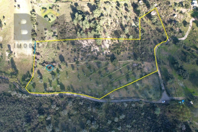 Quinta T0 para Venda em Salgueiro do Campo Foto 2