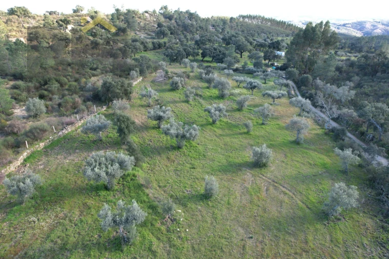 Quinta T0 para Venda em Salgueiro do Campo Foto 3