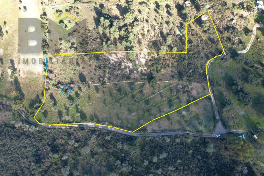 Quinta T0 para Venda em Salgueiro do Campo Foto 2