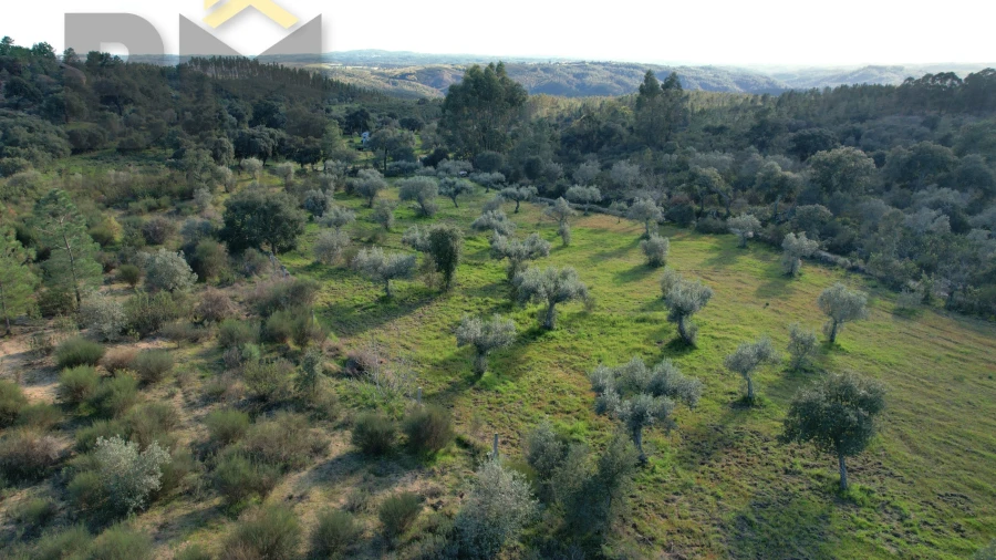 Quinta T0 para Venda em Salgueiro do Campo