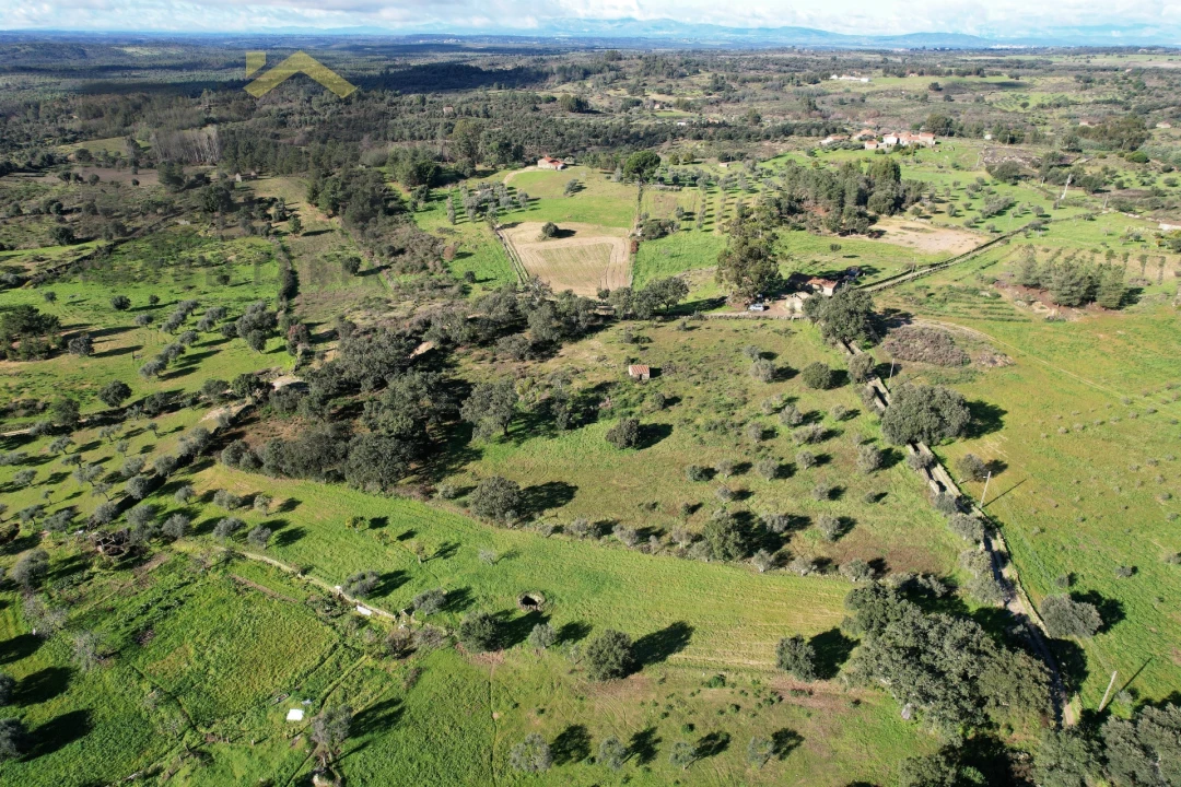 Quinta T0 para Venda em Monsanto e Idanha-A-Velha Foto 19