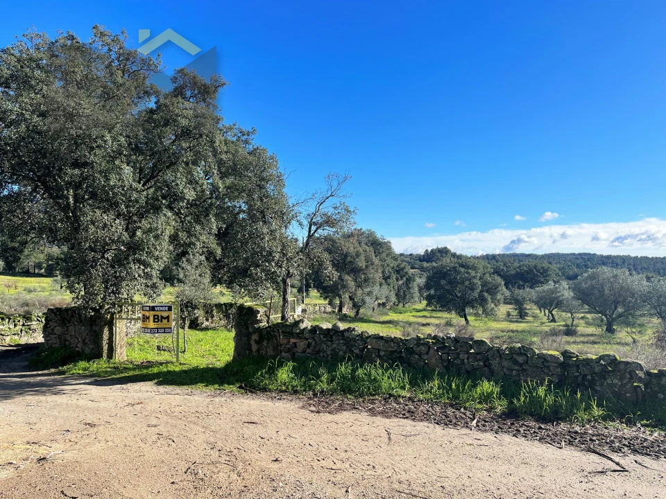 Quinta T0 para Venda em Monsanto e Idanha-A-Velha Foto 18
