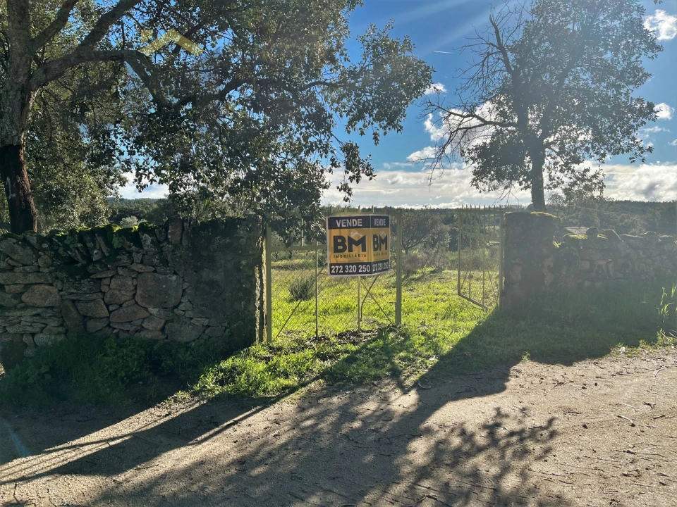 Quinta T0 para Venda em Monsanto e Idanha-A-Velha Foto 17