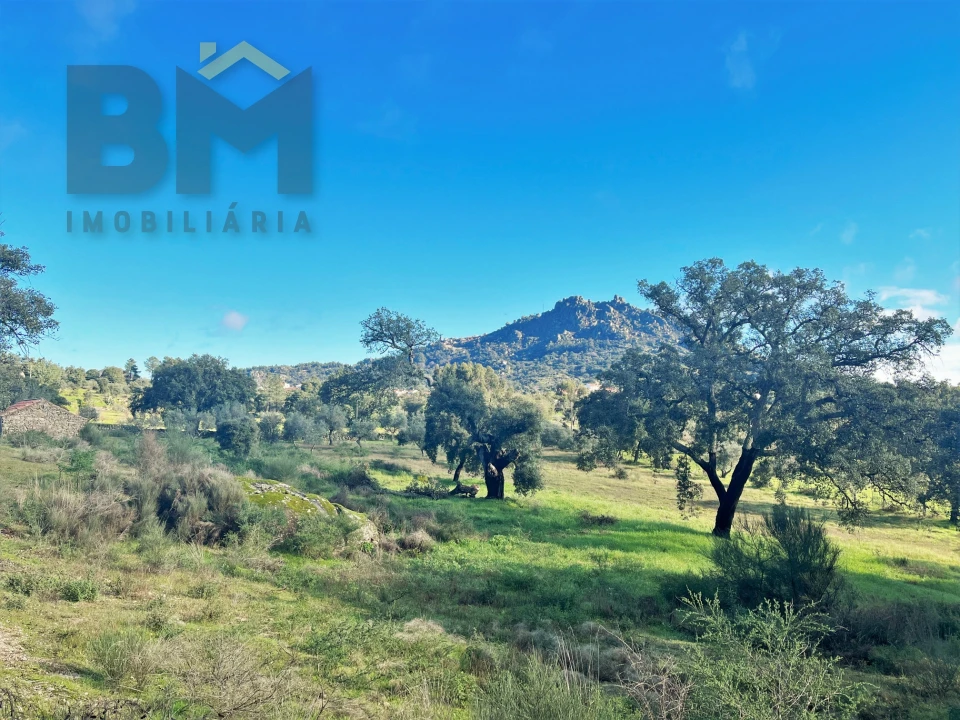 Quinta T0 para Venda em Monsanto e Idanha-A-Velha Foto 7