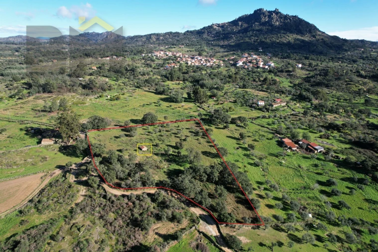 Quinta T0 para Venda em Monsanto e Idanha-A-Velha Foto 2