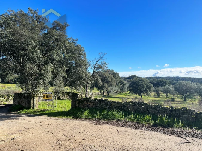 Quinta T0 para Venda em Monsanto e Idanha-A-Velha Foto 18