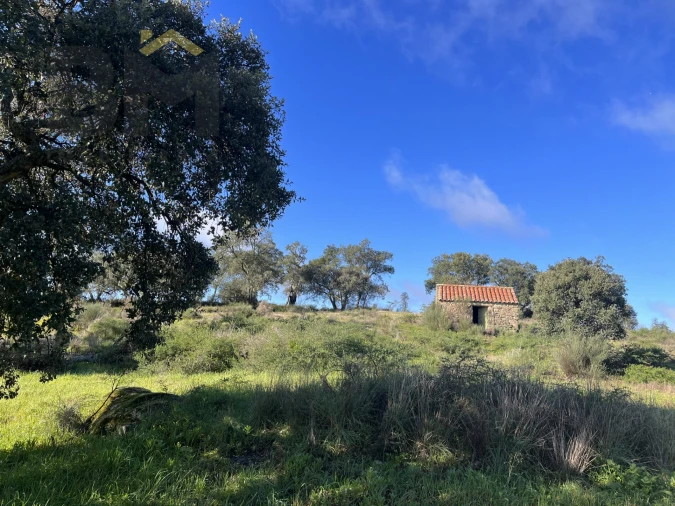 Quinta T0 para Venda em Monsanto e Idanha-A-Velha Foto 6