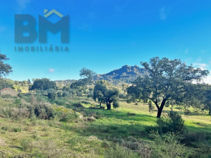 Quinta T0 para Venda em Monsanto e Idanha-A-Velha Foto 7