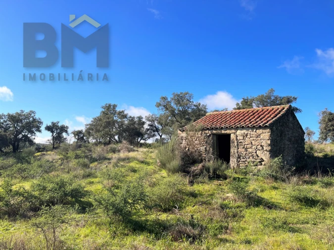 Quinta T0 para Venda em Monsanto e Idanha-A-Velha Foto 3