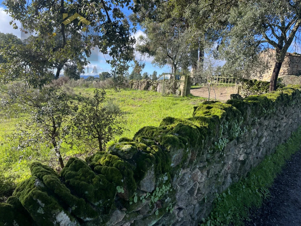 Quinta T0 para Venda em Monsanto e Idanha-A-Velha Foto 16