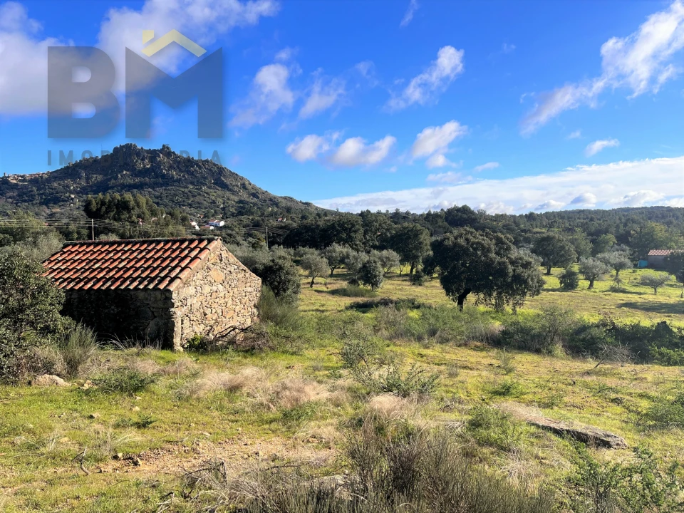 Quinta T0 para Venda em Monsanto e Idanha-A-Velha Foto 1