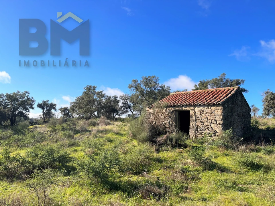 Quinta T0 para Venda em Monsanto e Idanha-A-Velha Foto 3