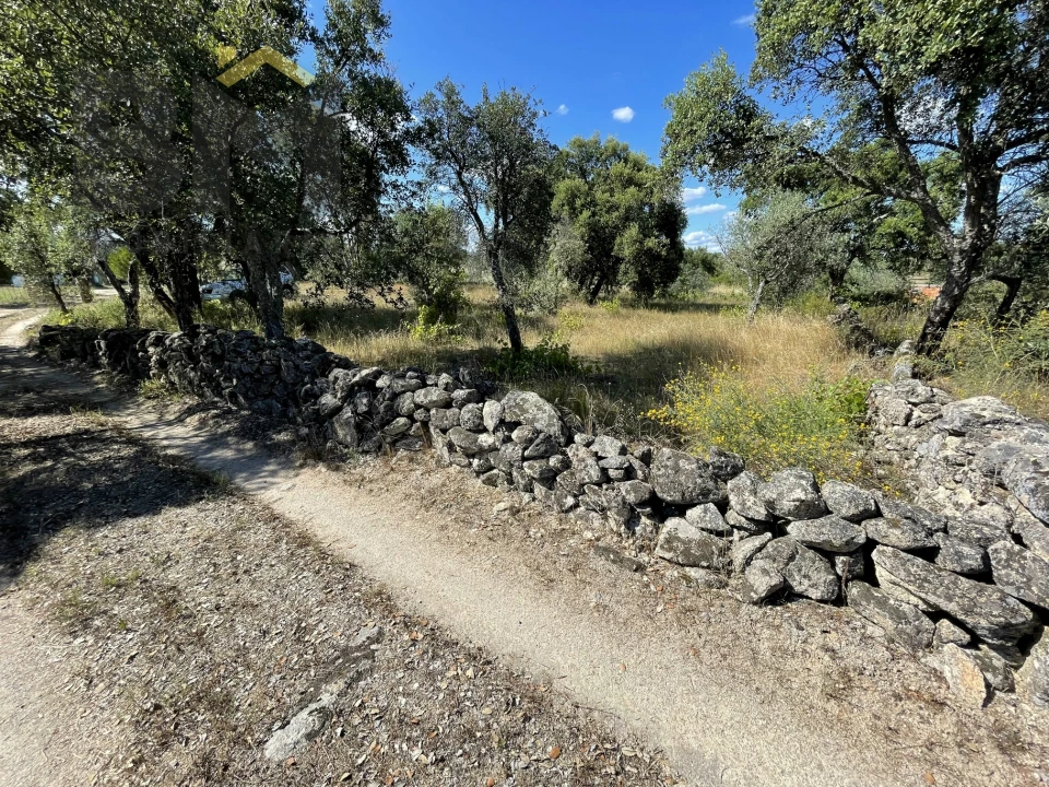 Quinta T0 para Venda em Escalos de Cima e Lousa Foto 4