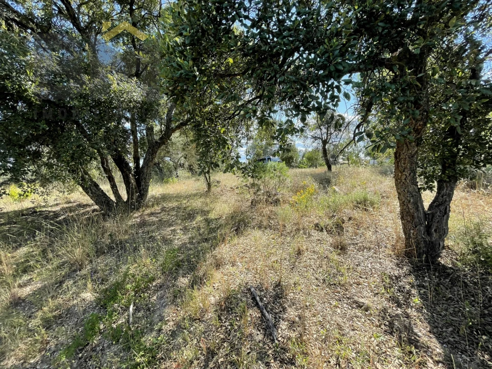 Quinta T0 para Venda em Escalos de Cima e Lousa Foto 6