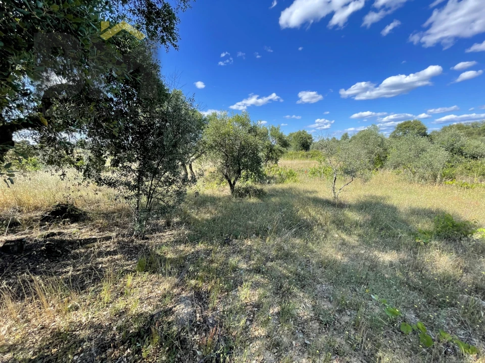Quinta T0 para Venda em Escalos de Cima e Lousa Foto 12