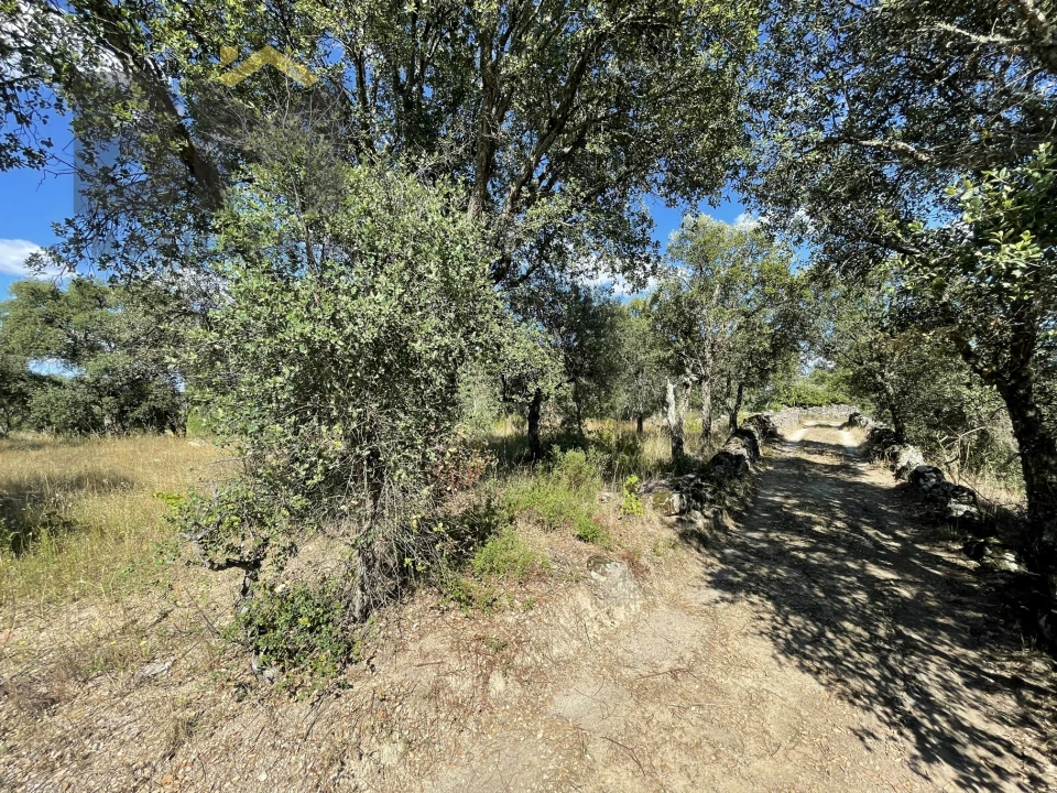 Quinta T0 para Venda em Escalos de Cima e Lousa Foto 7