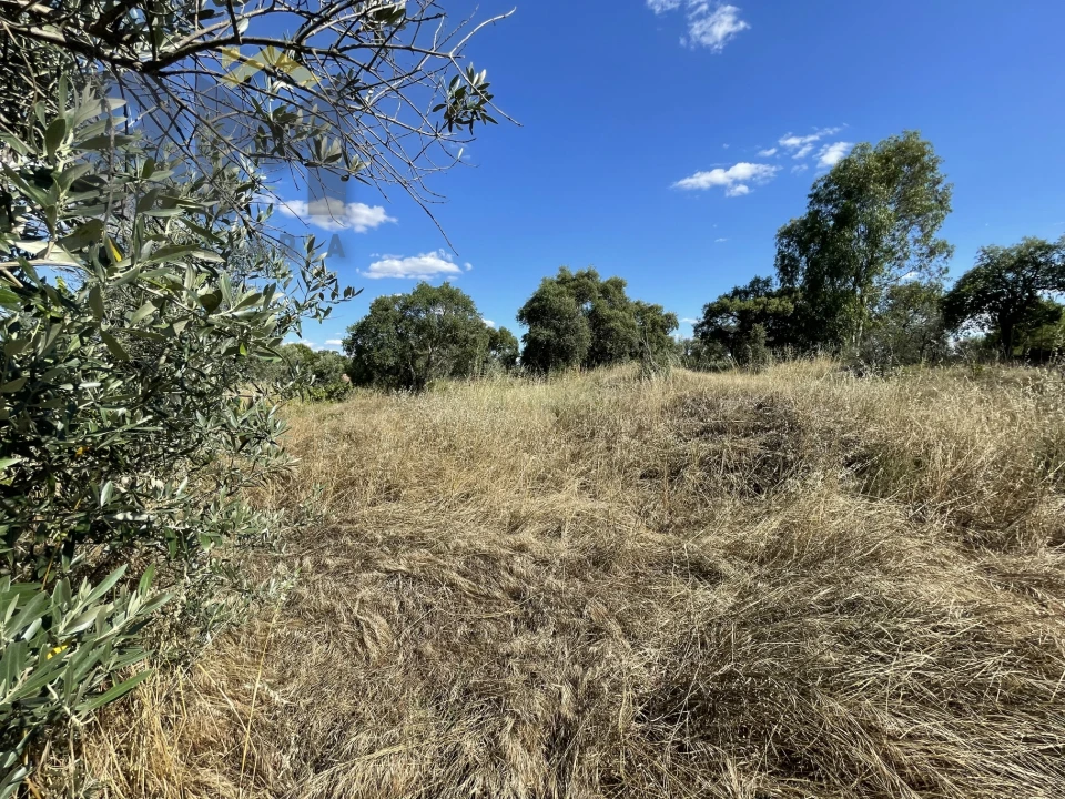 Quinta T0 para Venda em Escalos de Cima e Lousa Foto 18