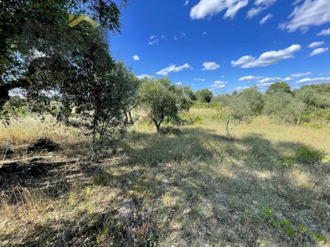 Quinta T0 para Venda em Escalos de Cima e Lousa Foto 12