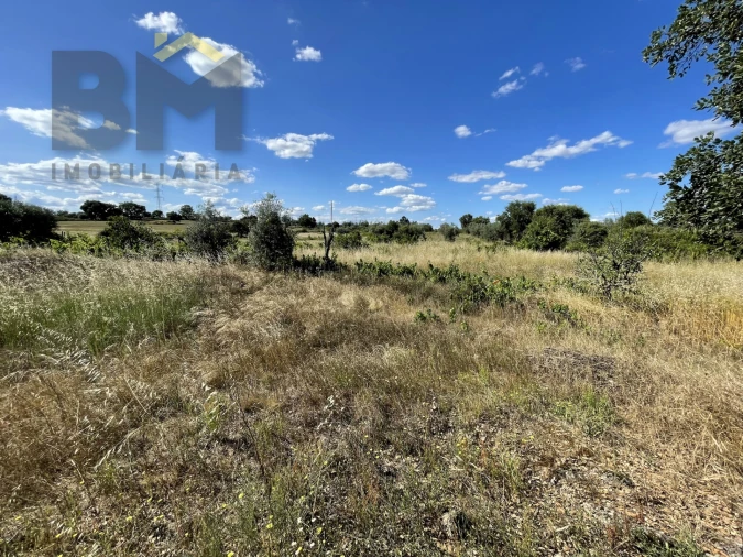 Quinta T0 para Venda em Escalos de Cima e Lousa Foto 14