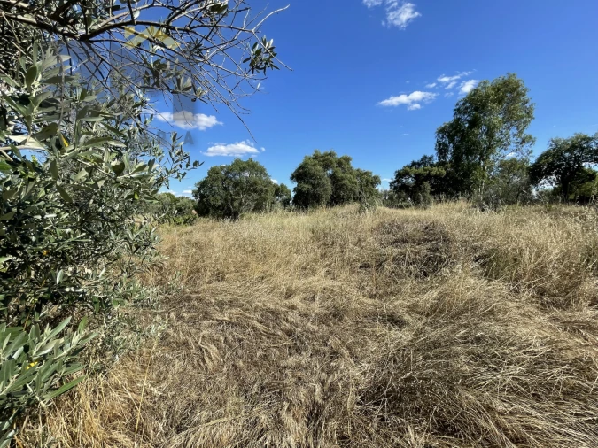 Quinta T0 para Venda em Escalos de Cima e Lousa Foto 18