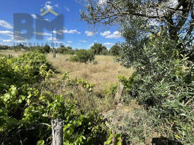 Quinta T0 para Venda em Escalos de Cima e Lousa Foto 17