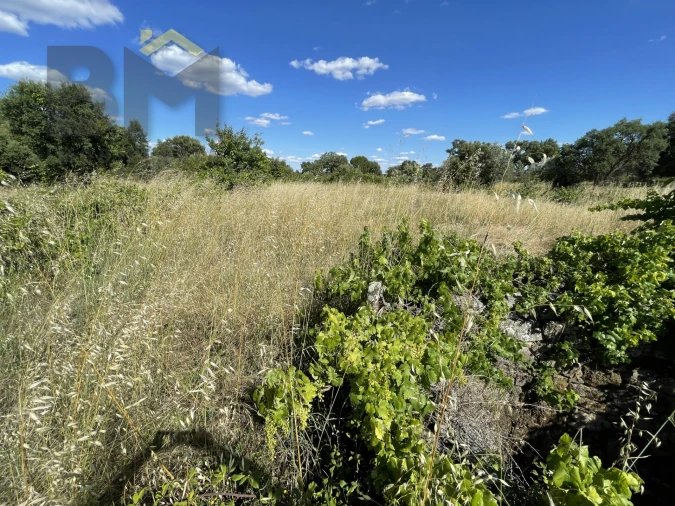 Quinta T0 para Venda em Escalos de Cima e Lousa Foto 23