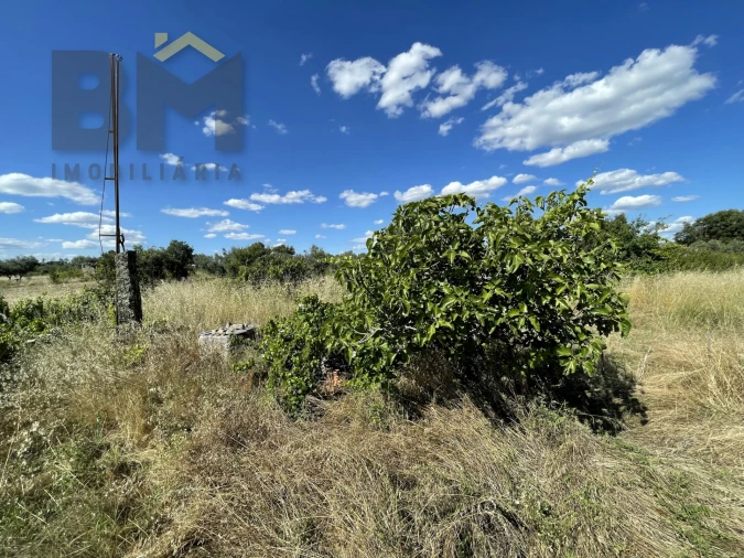Quinta T0 para Venda em Escalos de Cima e Lousa Foto 19