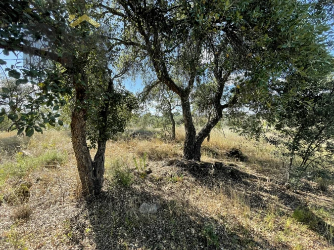 Quinta T0 para Venda em Escalos de Cima e Lousa Foto 5