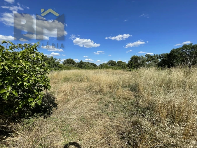 Quinta T0 para Venda em Escalos de Cima e Lousa Foto 20