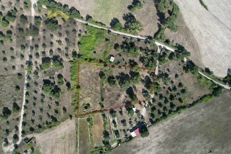 Quinta T0 para Venda em Escalos de Cima e Lousa Foto 26