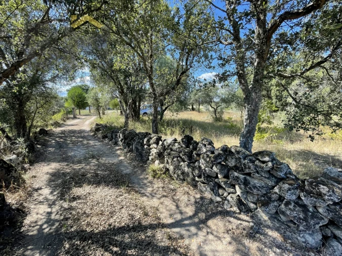 Quinta T0 para Venda em Escalos de Cima e Lousa Foto 3