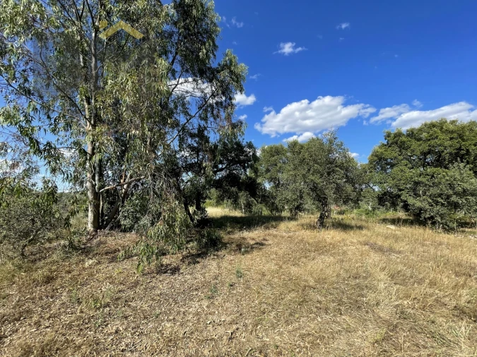 Quinta T0 para Venda em Escalos de Cima e Lousa Foto 8