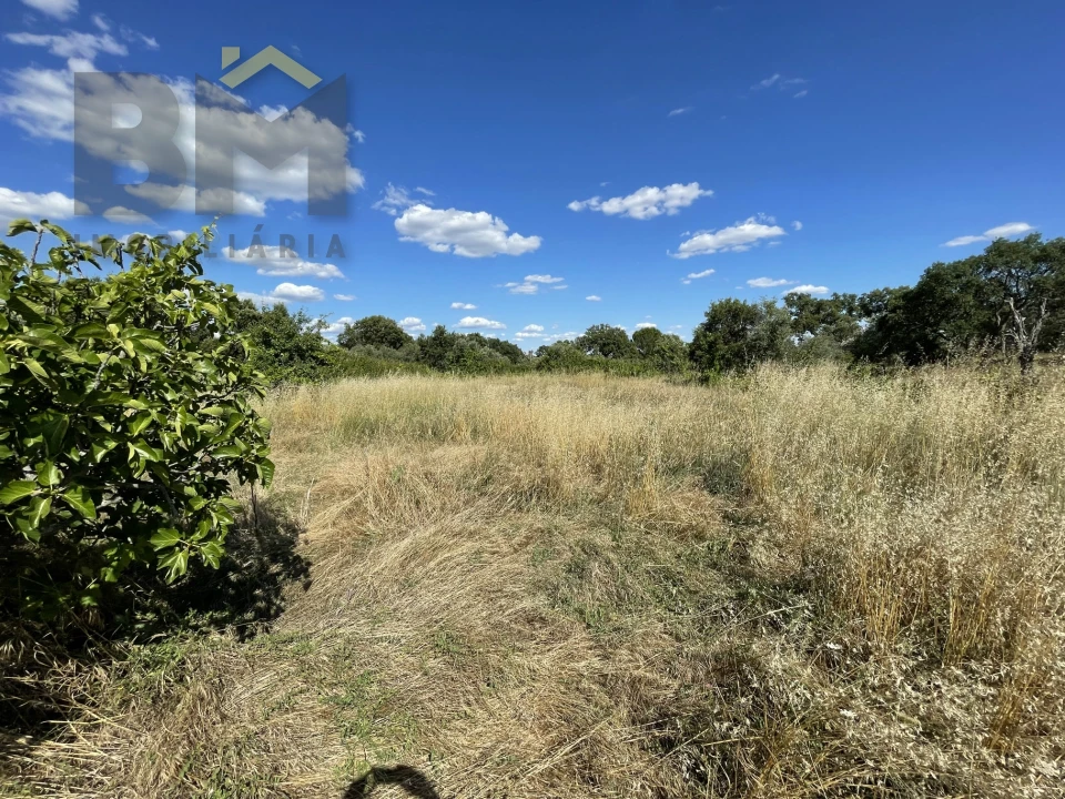 Quinta T0 para Venda em Escalos de Cima e Lousa Foto 20