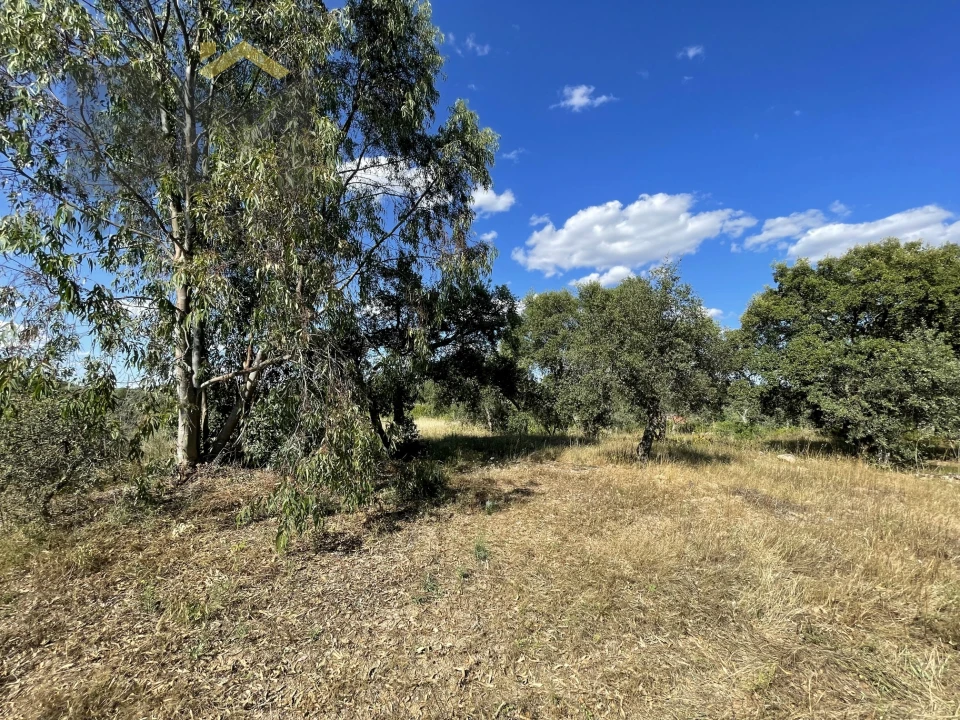 Quinta T0 para Venda em Escalos de Cima e Lousa Foto 8