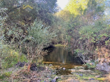 Quinta T0 para Venda em Escalos de Baixo e Mata