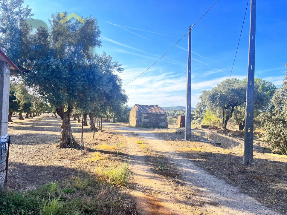 Quinta T0 para Venda em Escalos de Baixo e Mata Foto 20