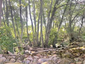 Quinta T0 para Venda em Alcains