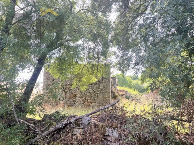 Quinta T0 para Venda em Alcains Foto 14