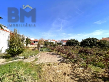 Terreno para Venda em Castelo Branco