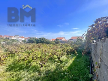 Terreno para Venda em Castelo Branco