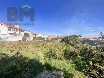Terreno para Venda em Castelo Branco