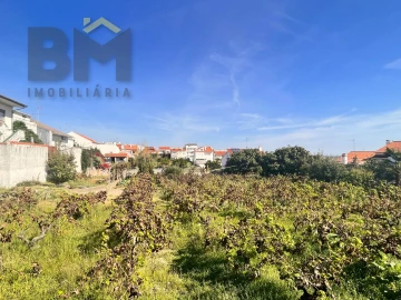 Terreno para Venda em Castelo Branco
