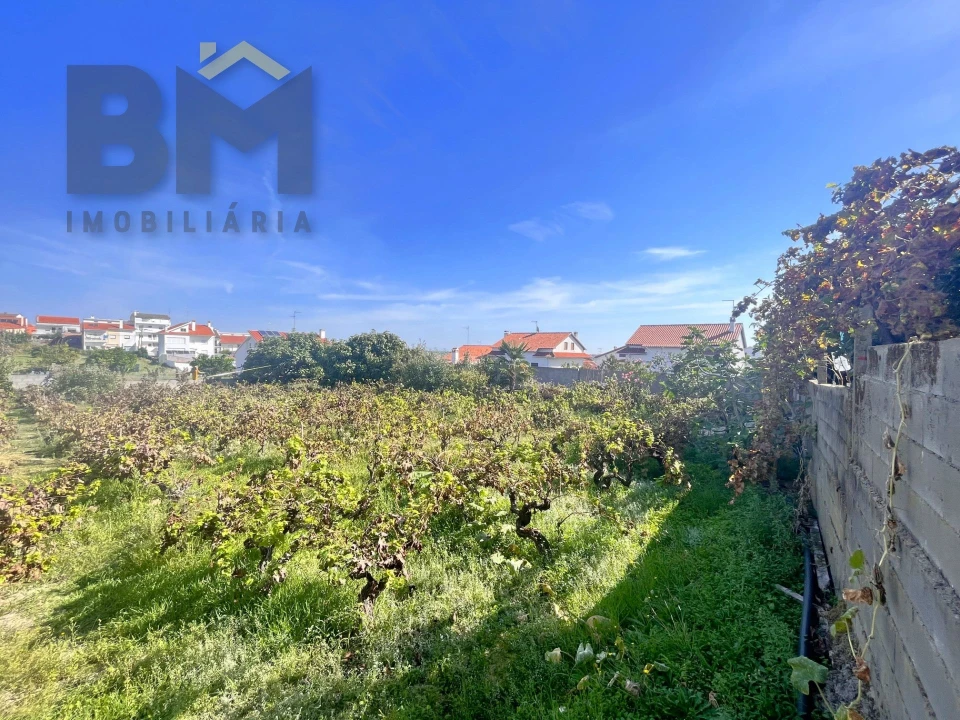 Terreno para Venda em Castelo Branco Foto 6