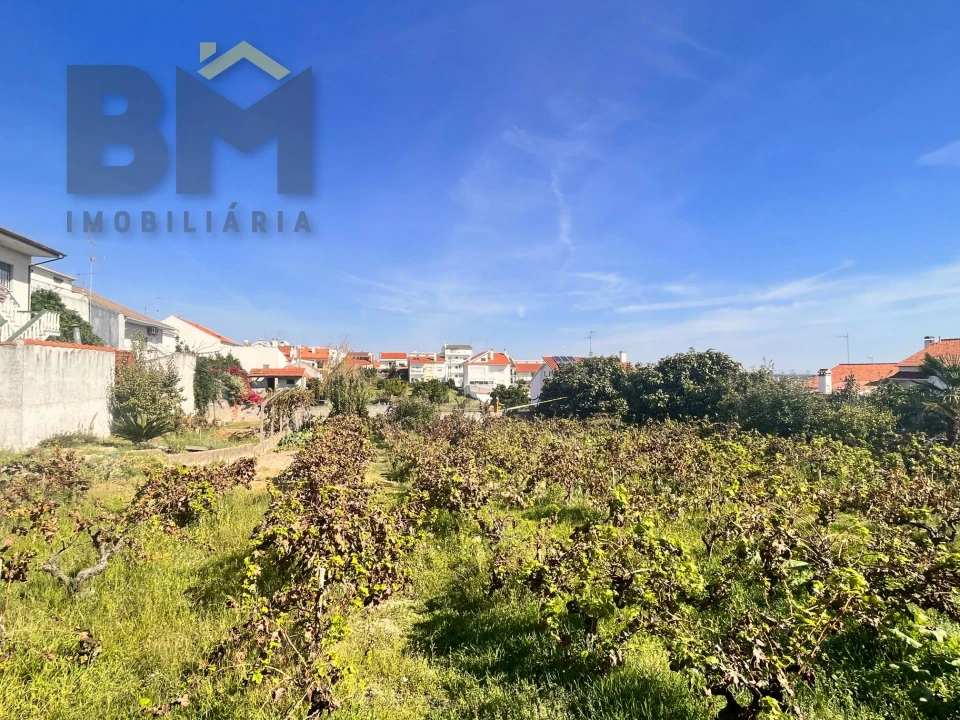 Terreno para Venda em Castelo Branco Foto 5