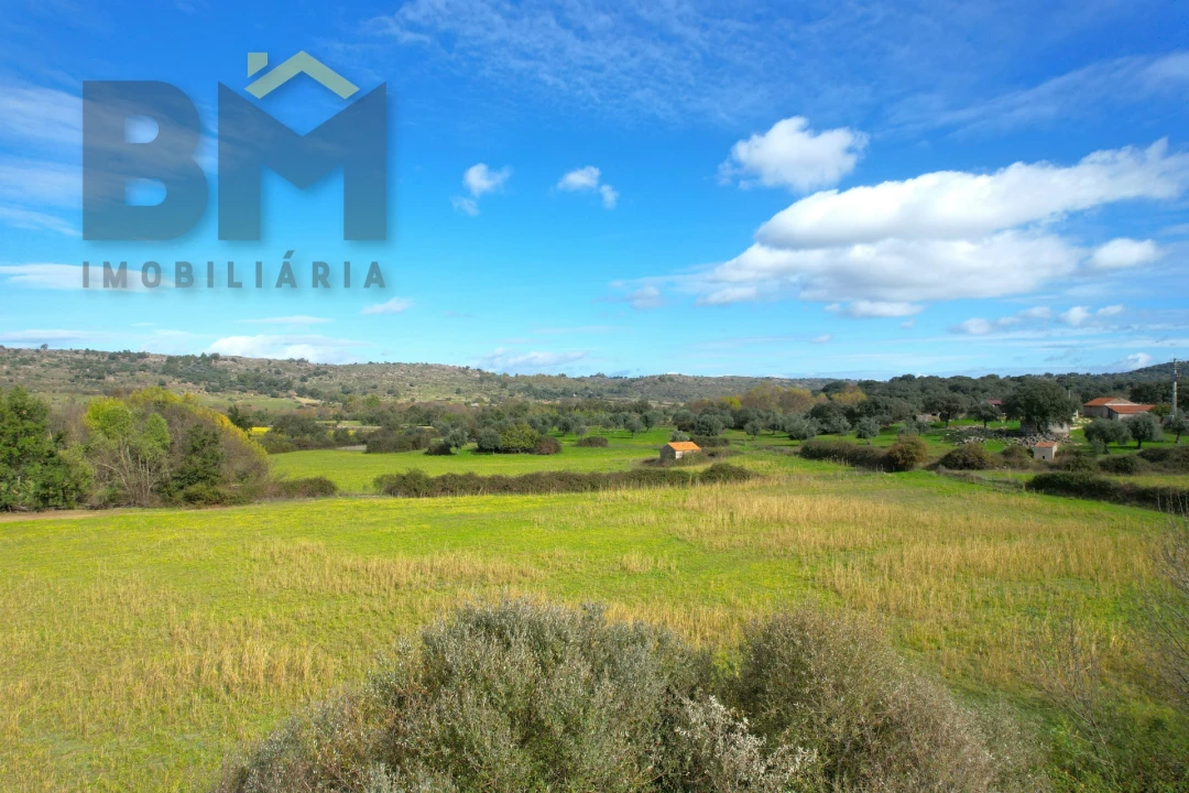 Quinta T0 para Venda em Oledo Foto 28