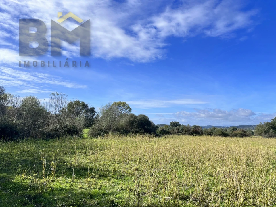 Quinta T0 para Venda em Oledo Foto 18