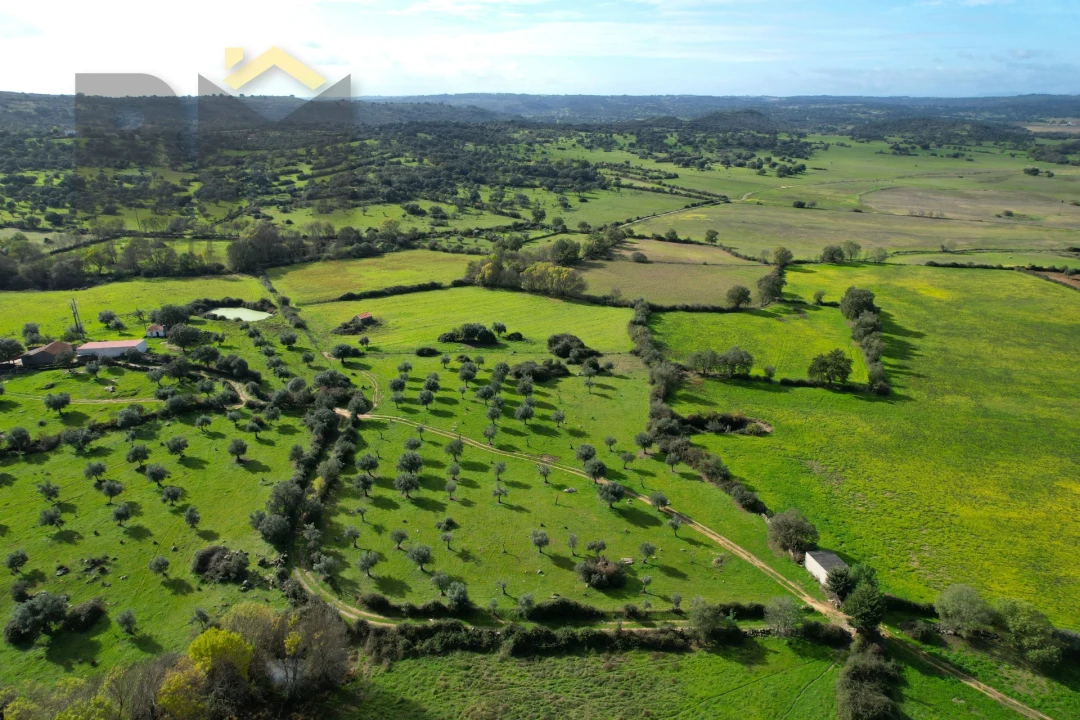Quinta T0 para Venda em Oledo Foto 2