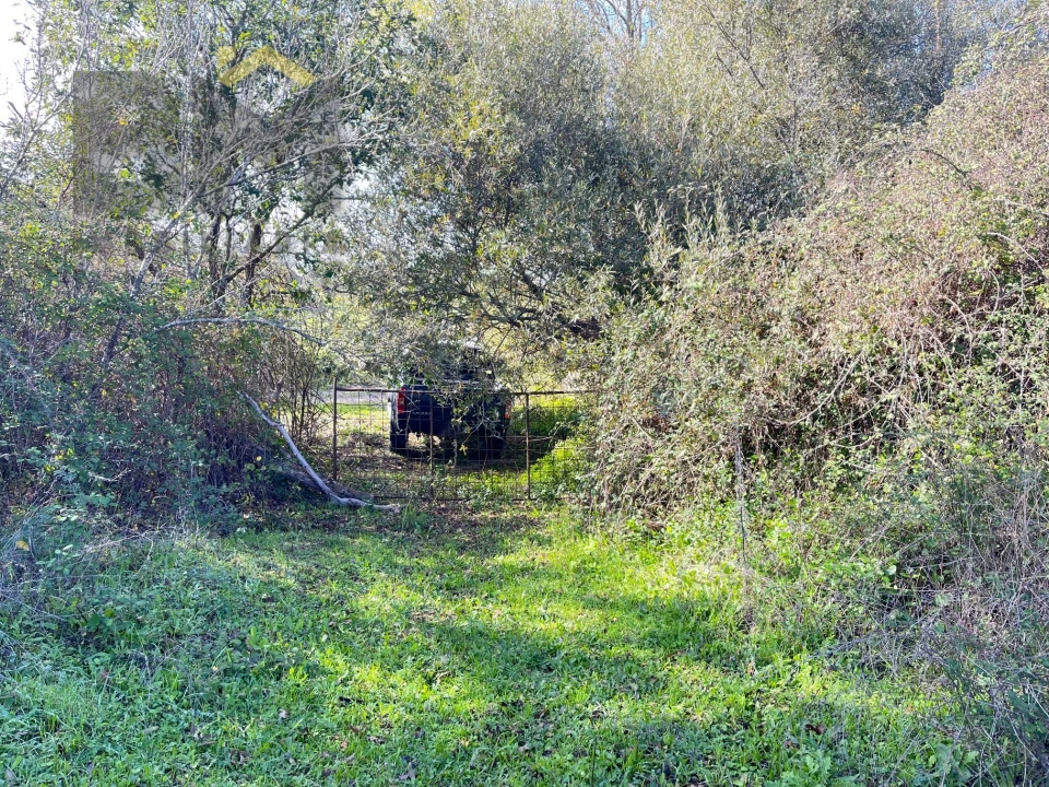 Quinta T0 para Venda em Oledo Foto 17
