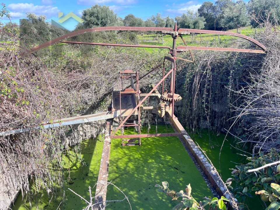Quinta T0 para Venda em Oledo Foto 25