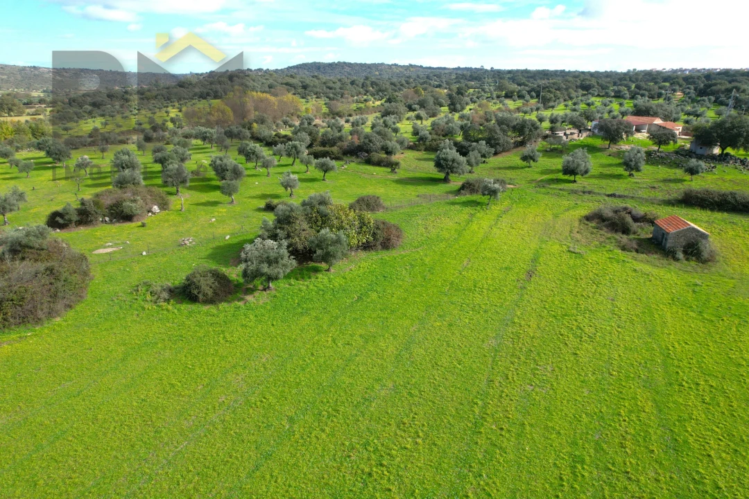 Quinta T0 para Venda em Oledo Foto 29